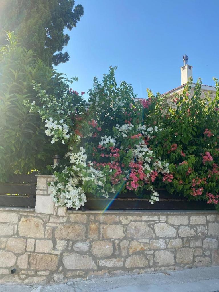Almond Grove Villa Simou المظهر الخارجي الصورة