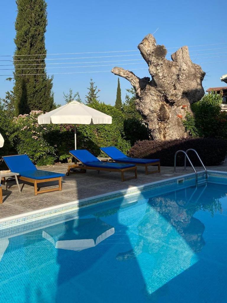 Almond Grove Villa Simou المظهر الخارجي الصورة