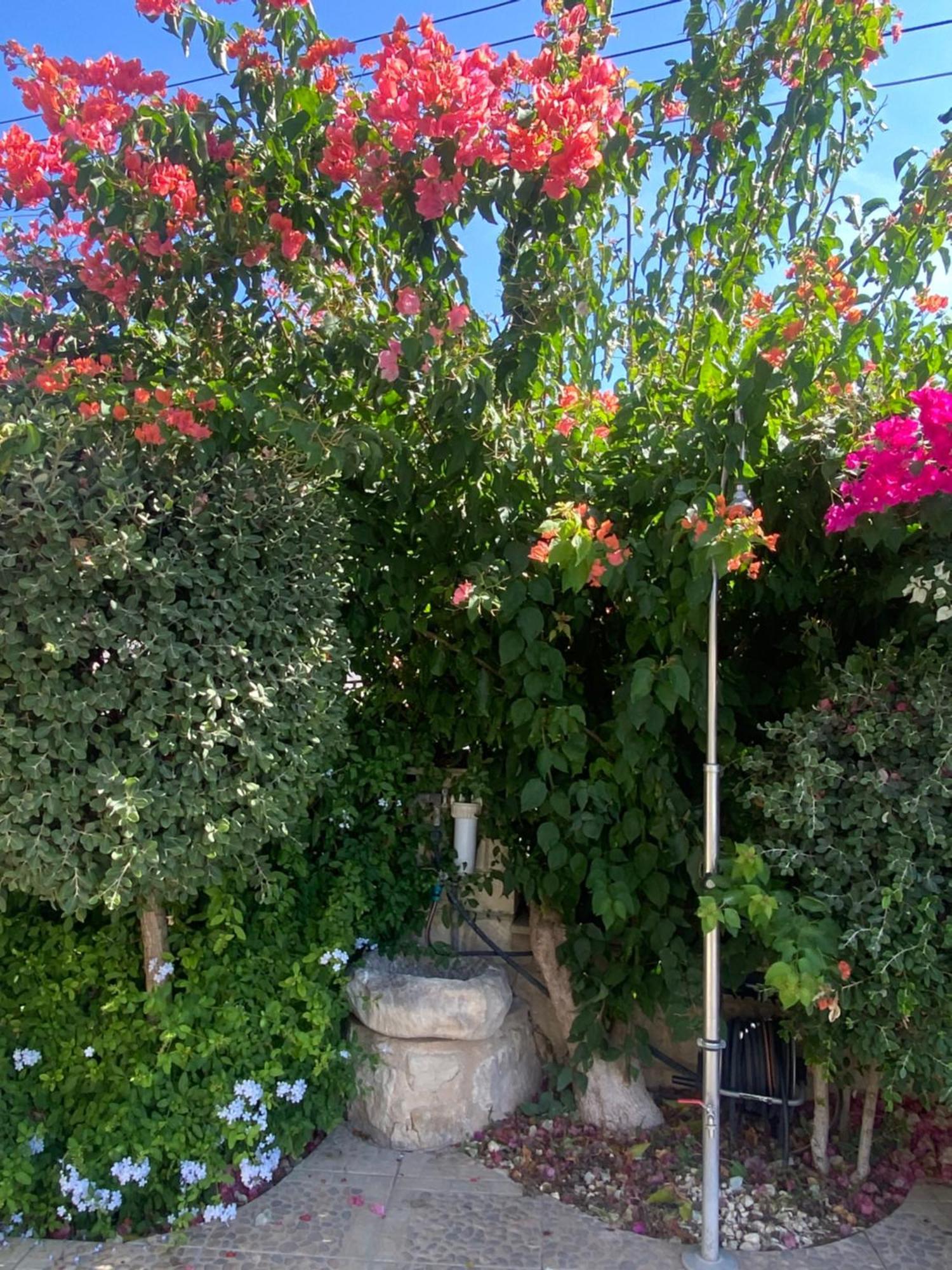 Almond Grove Villa Simou المظهر الخارجي الصورة
